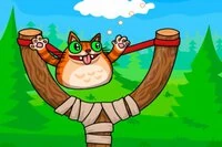 Launch the cat pass through the rings and collect stars