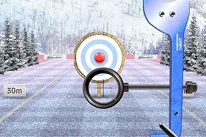 Celowanie do tarczy łuczniczej na tle ośnieżonego krajobrazu z oznaczeniem dystansu 30 metrów