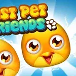 Trzy radosne, żółte pisklęta z dużymi oczami na niebieskim tle, z napisem Best Pet Friends na górze