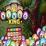 Kolorowe kule z liczbami, plansza bingo i napis Bingo King na tle dżungli