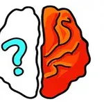 Połówka mózgu z lewej strony jako znak zapytania w kolorze niebieskim na białym tle, druga połówka w kolorze pomarańczowym