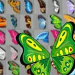 Kolorowe skrzydła motyli w różnych wzorach i odcieniach na szarym tle