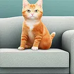 Rudy kot siedzący na jasnoszarej sofie na tle turkusowej ściany