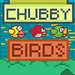 Trzy kolorowe, pikselowe ptaki unoszą się przed napisem CHUBBY BIRDS na tle miasta