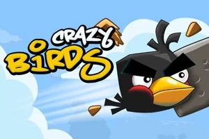 Czarny ptak z groźnym wyrazem twarzy leci przez niebo, otoczony kawałkami drewna, na tle logo Crazy Birds