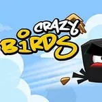 Czarny ptak z groźnym wyrazem twarzy leci przez niebo, otoczony kawałkami drewna, na tle logo Crazy Birds