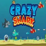 Kolorowa scena podwodna z różnymi rybami i rekinem na tle oraz napis Crazy Shark