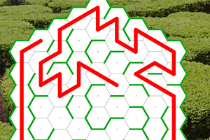 Czerwony, zygzakowaty wzór na białym tle z sześciokątną siatką na tle zielonego pola