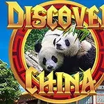 Dwa pandy leżące obok siebie z bambusowymi liśćmi w tle otoczenia w stylu chińskim z widocznym tradycyjnym budynkiem i roślinnością, z tekstem Discover China