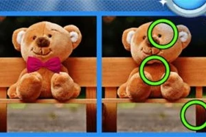 Dwa pluszowe misie siedzą na drewnianej ławce, z zaznaczonymi różnicami między nimi zielonymi okręgami