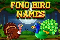 Classic hangman game in which you need to predict the name of birds