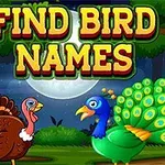 Dwa kolorowe ptaki — paw i indyk — stoją na leśnej polanie pod pełnią księżyca, z napisem „Find Bird Names” u góry