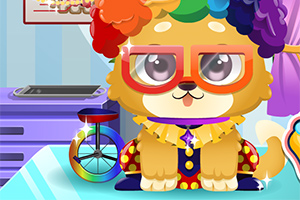 Pies w kolorowej peruce i okulary siedzi przy biurku w pokoju z różnymi dekoracjami