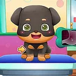 Szczęśliwy szczeniak siedzący na niebieskim stole w kolorowym pomieszczeniu przypominającym gabinet weterynaryjny