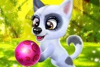 Zadbaj o uroczego szczeniaczka i stwórz dla niego unikalny styl