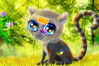 Opiekuj się małym lemurem katta w tej uroczej grze z metamorfozami zwierząt