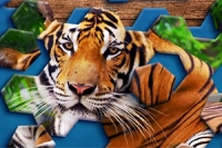 Innowacyjna i zabawna gra Hexa Jigsaw Puzzle