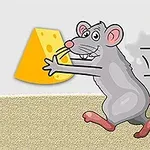 Szary rysunkowy szczur biegnie z kawałkiem żółtego sera w łapach