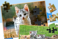 Gra Jigsaw Puzzle: Cats & Kitten to interesująca układanka do gry.