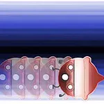 Czerwony stworek z kropkami w ruchu na tle gradientu od niebieskiego do białego