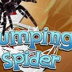 Pająk nad stosem kart z napisem Jumping Spider na tle przypominającym pajęczynę