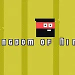 Czarny kwadratowy ninja z czerwonym paskiem na żółtym tle, z napisem Kingdom of Ninja 2
