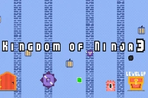 Niebieskie tło z pionowymi niebieskimi pasami, napis „Kingdom of Ninja 3”, kolorowe pikselowe postacie, drzwi i przycisk „Level Up”
