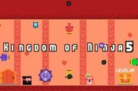 Kingdom Of Ninja 5 to piąty rozdział serii Kingdom of Ninja