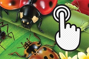 Różnorodne owady, w tym biedronki i koniki polne, na zielonym tle z ikoną klikania dłonią