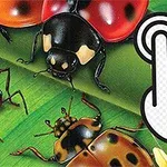 Różnorodne owady, w tym biedronki i koniki polne, na zielonym tle z ikoną klikania dłonią