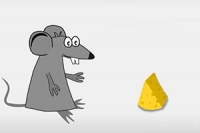 How much cheese can you eat?