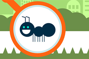 MR. Ant