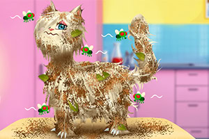 Brudny kot pokryty błotem, liśćmi i otoczony muchami stojący na stole w kuchni