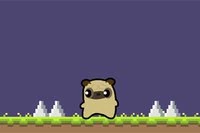 Przygoda Pug Love zaczyna się dziś!