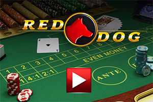 Stół do gry w kasynie z żetonami, kartami oraz logo z czerwoną sylwetką psa na środku