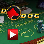 Stół do gry w kasynie z żetonami, kartami oraz logo z czerwoną sylwetką psa na środku