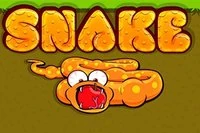 Play this coloured version of the classic game Snake!