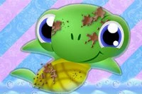 Rub-a-dub-dub ... baby turtles in the tub!