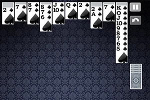 Play one of the most popular classic card games ever!