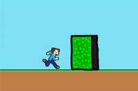 Przygodowa gra z bohaterem Stevem i wieloma poziomami w różnych zakątkach