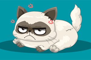 What Famous Cat Are You