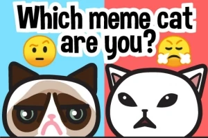 Dwa rysunkowe koty na podzielonym tle z napisem „Which meme cat are you?