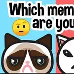 Dwa rysunkowe koty na podzielonym tle z napisem „Which meme cat are you?