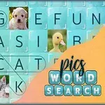 Puzzle słowne z ukrytymi słowami i zdjęciami psa, kaczki, misia oraz kota na tle kolorowego gradientu